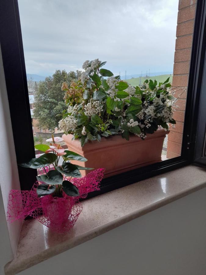 Un Passo Alla Volta Torrenieri Bagian luar foto