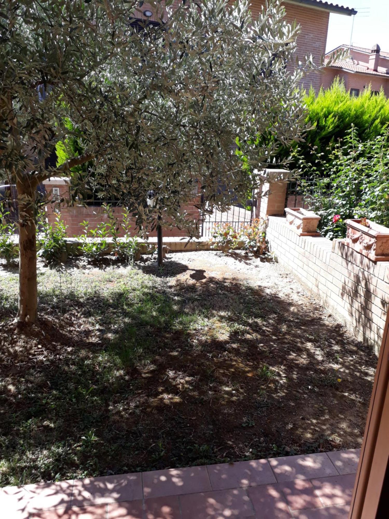 Un Passo Alla Volta Torrenieri Bagian luar foto